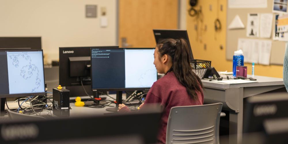 Wheaton Student in Computer Lab