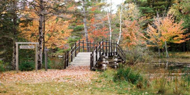 HoneyRock Bridge in Fall