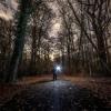 Man standing in woods