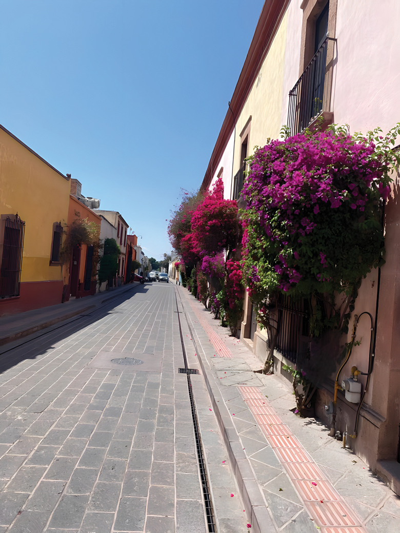 Street in Mexico