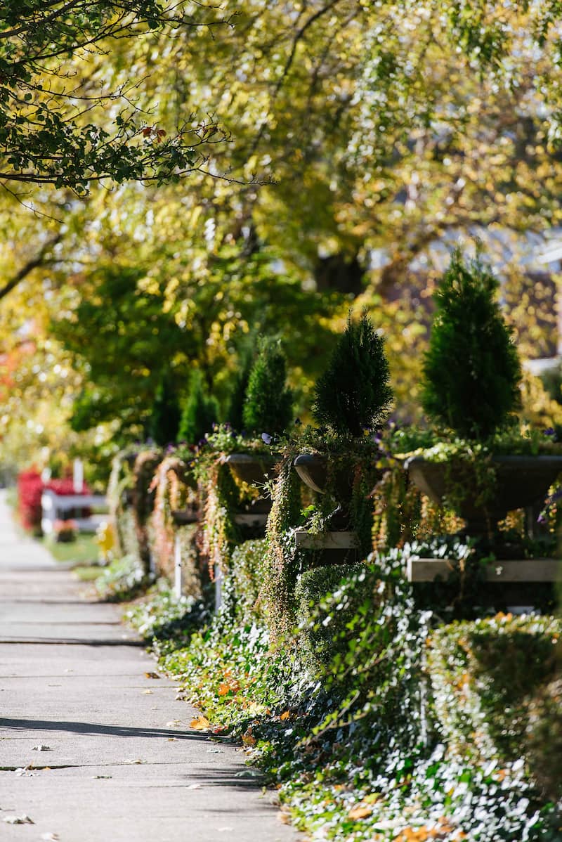 Wheaton College IL greenery along sidewalk