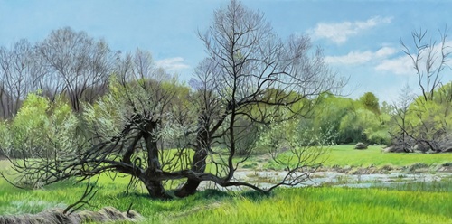 Floodplain Willow, 12” x 24” oil on canvas, by Joel Sheesley